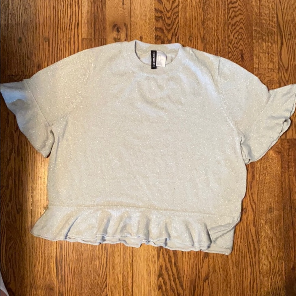 Silver glitter cropped sweater shirt